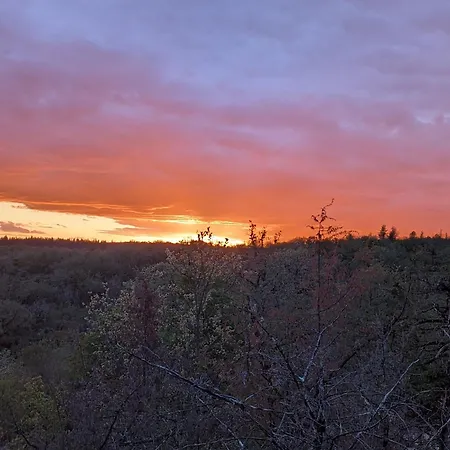 Luksustelt Aux Du Mas De Nadal 3*
